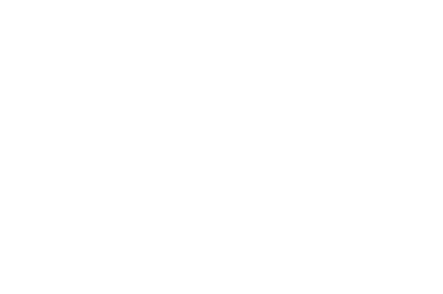 Чип тюнинг AUDI