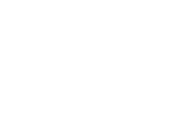 Чип тюнинг TOYOTA